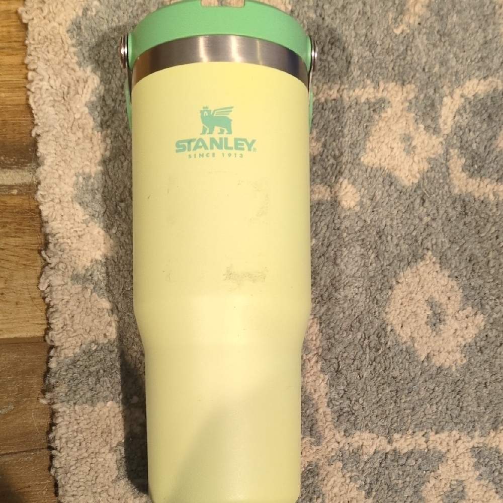 Stanley Tumbler - Mint and Light Yellow
